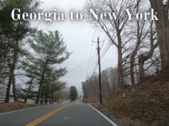 Georgia to NY Travel Choices