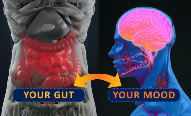 Gut-brain connection 